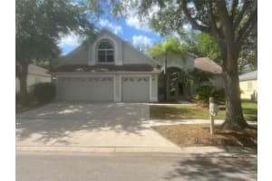 10237 Shadow Branch Dr, TAMPA