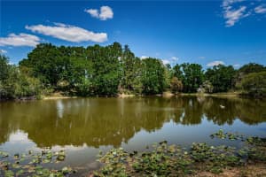 6804 SEAFAIRER DRIVE, TAMPA, FL 33615 - MLS#MFRTB8500351