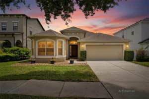 211 WESTCHESTER HILLS LANE, VALRICO, FL 33594 - MLS#MFRTB8500368