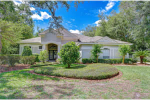 5820 AUDUBON MANOR BOULEVARD, LITHIA, FL 33547 - MLS#MFRTB8500389