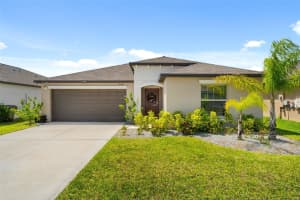 3806 DAISY BLOOM PLACE, TAMPA, FL 33619 - MLS#MFRTB8500404