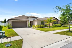3806 DAISY BLOOM PLACE, TAMPA, FL 33619 - MLS#MFRTB8500404