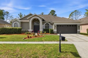 10121 Kingshyre Way, TAMPA