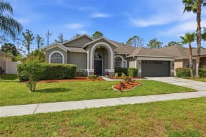 10121 KINGSHYRE WAY, TAMPA, FL 33647 - MLS#MFRTB8500482