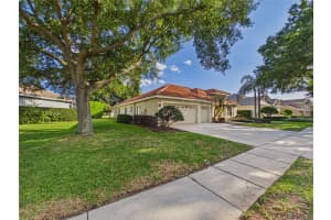 10207 ESTUARY DRIVE, TAMPA, FL 33647 - MLS#MFRTB8500486