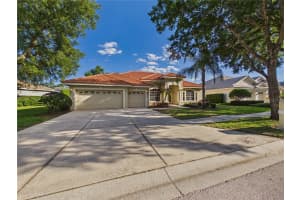 10207 ESTUARY DRIVE, TAMPA, FL 33647 - MLS#MFRTB8500486