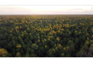 13554 SANTA MARIA DRIVE, PUNTA GORDA, FL 33955 - MLS#MFRTB8500494