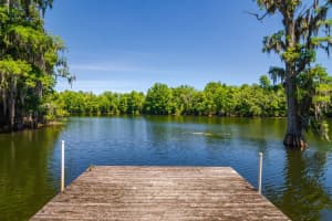 608 VANDERBAKER ROAD, TEMPLE TERRACE, FL 33617 - MLS#MFRTB8500525