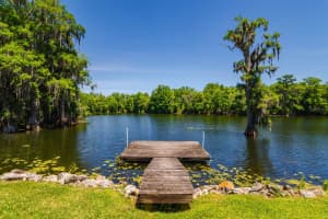 608 VANDERBAKER ROAD, TEMPLE TERRACE, FL 33617 - MLS#MFRTB8500525