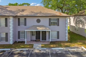 5156 SUNRIDGE PALMS DRIVE, TAMPA, FL 33617 - MLS#MFRTB8500526