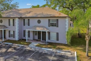 5156 SUNRIDGE PALMS DRIVE, TAMPA, FL 33617 - MLS#MFRTB8500526