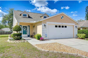 707 ORCHARD ISLE COURT, VALRICO, FL 33594 - MLS#MFRTB8500539