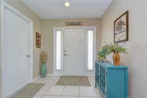 707 ORCHARD ISLE COURT, VALRICO, FL 33594 - MLS#MFRTB8500539