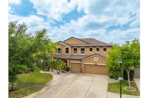 11511 PALMETTO PINE STREET, RIVERVIEW, FL 33569 - MLS#MFRTB8500546