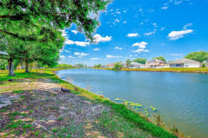 6905 TOWERING SPRUCE DRIVE, RIVERVIEW, FL 33578 - MLS#MFRTB8500551