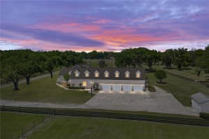 29001 BAYHEAD ROAD, DADE CITY, FL 33523 - MLS#MFRTB8500562