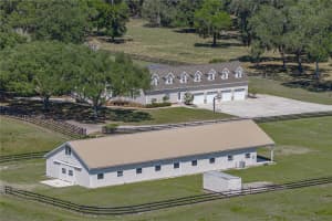 29001 BAYHEAD ROAD, DADE CITY, FL 33523 - MLS#MFRTB8500562