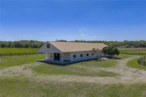 29001 BAYHEAD ROAD, DADE CITY, FL 33523 - MLS#MFRTB8500562