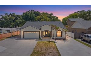 8019 N Gomez Ave, TAMPA