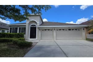 20018 OAKFLOWER AVENUE, TAMPA, FL 33647 - MLS#MFRTB8500598
