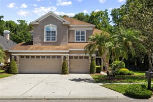 9642 GRETNA GREEN DRIVE, TAMPA, FL 33626 - MLS#MFRTB8500602