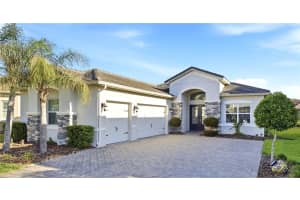 31490 CHESAPEAKE BAY DRIVE, WESLEY CHAPEL, FL 33543 - MLS#MFRTB8500611