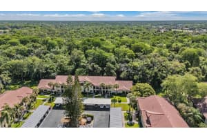 1801 LAKE ROAD, PALM HARBOR, FL 34685 - MLS#MFRTB8500615