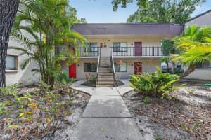 11715 Raintree Village Blvd #a, TEMPLE TERRACE