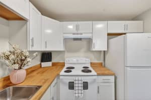 11715 RAINTREE VILLAGE BOULEVARD, TEMPLE TERRACE, FL 33617 - MLS#MFRTB8500625