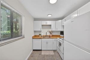 11715 RAINTREE VILLAGE BOULEVARD, TEMPLE TERRACE, FL 33617 - MLS#MFRTB8500625