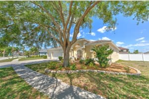 13022 CARLINGTON LANE, RIVERVIEW, FL 33579 - MLS#MFRTB8500644