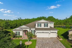 8768 BIRCHLEAF COURT, LAND O LAKES, FL 34637 - MLS#MFRTB8500661
