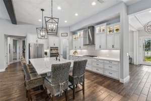 8768 BIRCHLEAF COURT, LAND O LAKES, FL 34637 - MLS#MFRTB8500661