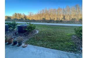 8078 ROLLING SHELL TRAIL, WESLEY CHAPEL, FL 33545 - MLS#MFRTB8500682