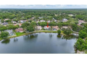 8739 ASHWORTH DRIVE, TAMPA, FL 33647 - MLS#MFRTB8500696