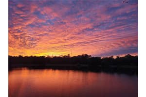 8739 ASHWORTH DRIVE, TAMPA, FL 33647 - MLS#MFRTB8500696