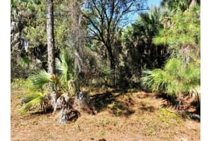 LOT 20 BLK 1749 34TH ADD TO PORT CHARLOTTE, NORTH PORT, FL 34288 - MLS#MFRTB8500724