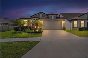 9748 Ibis Grove Blvd, WESLEY CHAPEL