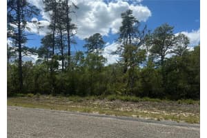 8036 WAYSIDE AVENUE, DUNNELLON, FL 34433 - MLS#MFRTB8500739