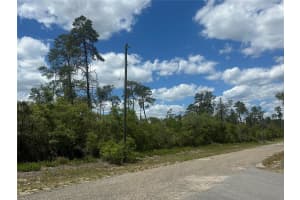 8036 WAYSIDE AVENUE, DUNNELLON, FL 34433 - MLS#MFRTB8500739