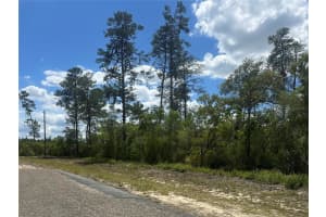 8036 WAYSIDE AVENUE, DUNNELLON, FL 34433 - MLS#MFRTB8500739