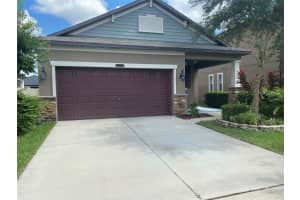 21312 SOUTHERN CHARM DRIVE, LAND O LAKES, FL 34637 - MLS#MFRTB8500781