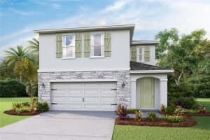 17924 ACORN DROP ROAD, LAND O LAKES, FL 34638 - MLS#MFRTB8500783