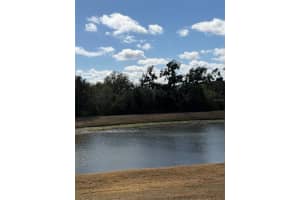 10742 SHADY PRESERVE DRIVE, RIVERVIEW, FL 33579 - MLS#MFRTB8500873