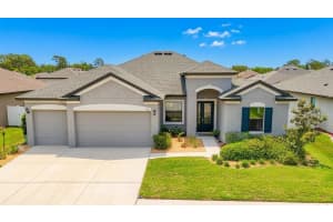 3925 Salida Delsol Dr, SUN CITY CENTER