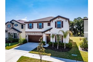 14733 GALLOP RUN DRIVE, LITHIA, FL 33547 - MLS#MFRTB8500899