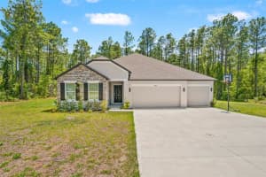 13296 THRASHER AVENUE, WEEKI WACHEE, FL 34614 - MLS#MFRTB8500904