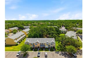 12367 BERKELEY SQUARE DRIVE, TAMPA, FL 33626 - MLS#MFRTB8500918