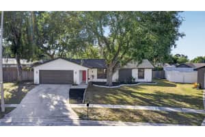 1513 PINEY BRANCH CIRCLE, VALRICO, FL 33594 - MLS#MFRTB8500926