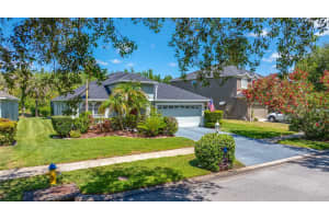 19254 FISHERMANS BEND DRIVE, LUTZ, FL 33558 - MLS#MFRTB8500948